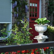 Warmond Village 08