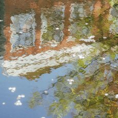 Water reflections 13
