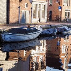 Water reflections 15