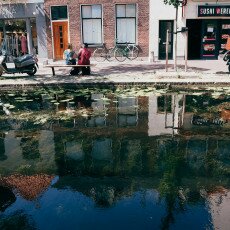 Water reflections 17