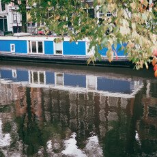 Water reflections 19