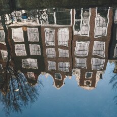 Water reflections 24