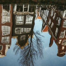 Water reflections 23