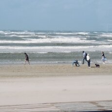 Windy Day at Zandvoort 03