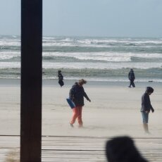 Windy Day at Zandvoort 15