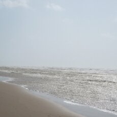 Windy Day at Zandvoort 11