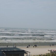 Windy Day at Zandvoort 12