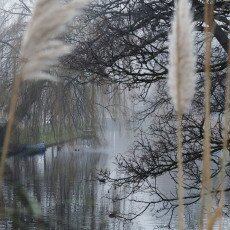 Winter beauty in details 06