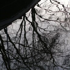 Winter beauty in details 19