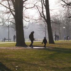 Frozen lakes Vondelpark 09