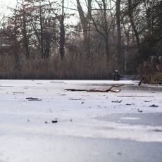 Frozen lakes Vondelpark 10
