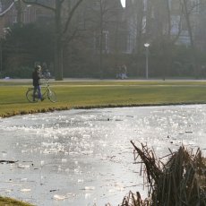 Frozen lakes Vondelpark 11