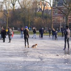 Frozen lakes Vondelpark 23