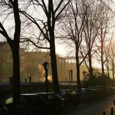 Winter morning 01