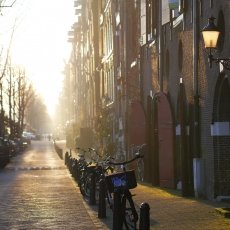 Winter morning 03