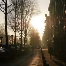 Winter morning 04