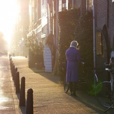 Winter morning 05