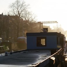 Winter morning 06
