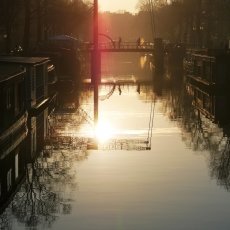 Winter morning 09