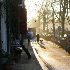 Winter morning 10
