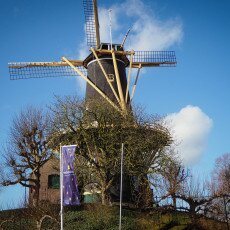 Woerden Day-Trip 04