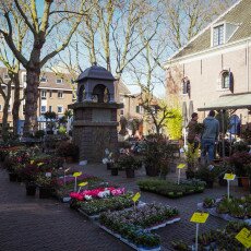 Woerden Day Cheese Market