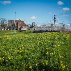 Woerden Day-Trip 01