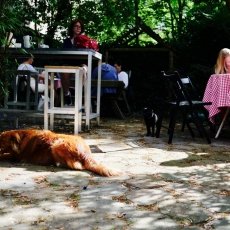 Write-together event 13