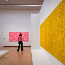A visitor between a giant yellow net painting and a pink dotted canvas
