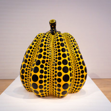 Kusama's yellow pumpkin with black dots, alone on a white plinth
