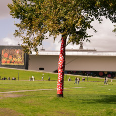 Trees wrapped in red and white dots on Museumplein, outside the Stedelijk Museum