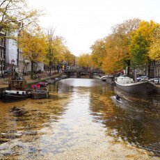 Amsterdam in yellow coat 01