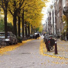 Amsterdam in yellow coat