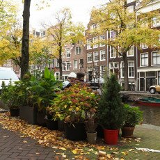 Amsterdam in yellow coat 15