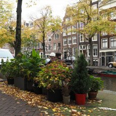 Amsterdam in yellow coat 16