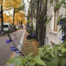 Amsterdam in yellow coat 20