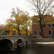 Amsterdam in yellow coat 23