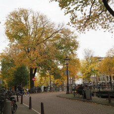 Amsterdam in yellow coat 28