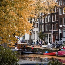 Amsterdam in yellow coat 25