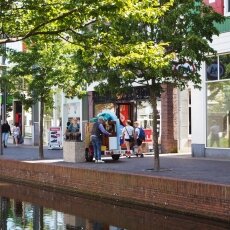 Zaandam 07