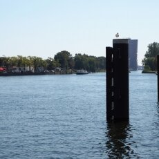 Zaandam 18