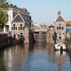 Zaandam 09