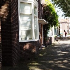 Zaandam 11