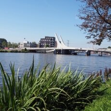 Zaandam 17