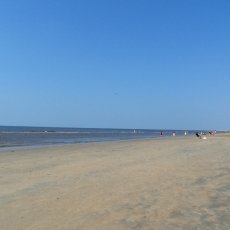 The beach