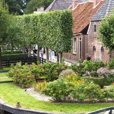 Flower garden and pollarded limes beside the canal in the Zuiderzeemuseum open-air village