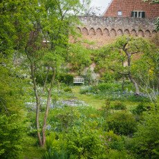 Zutphen Old City - 09