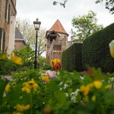 Zutphen Old City - 24