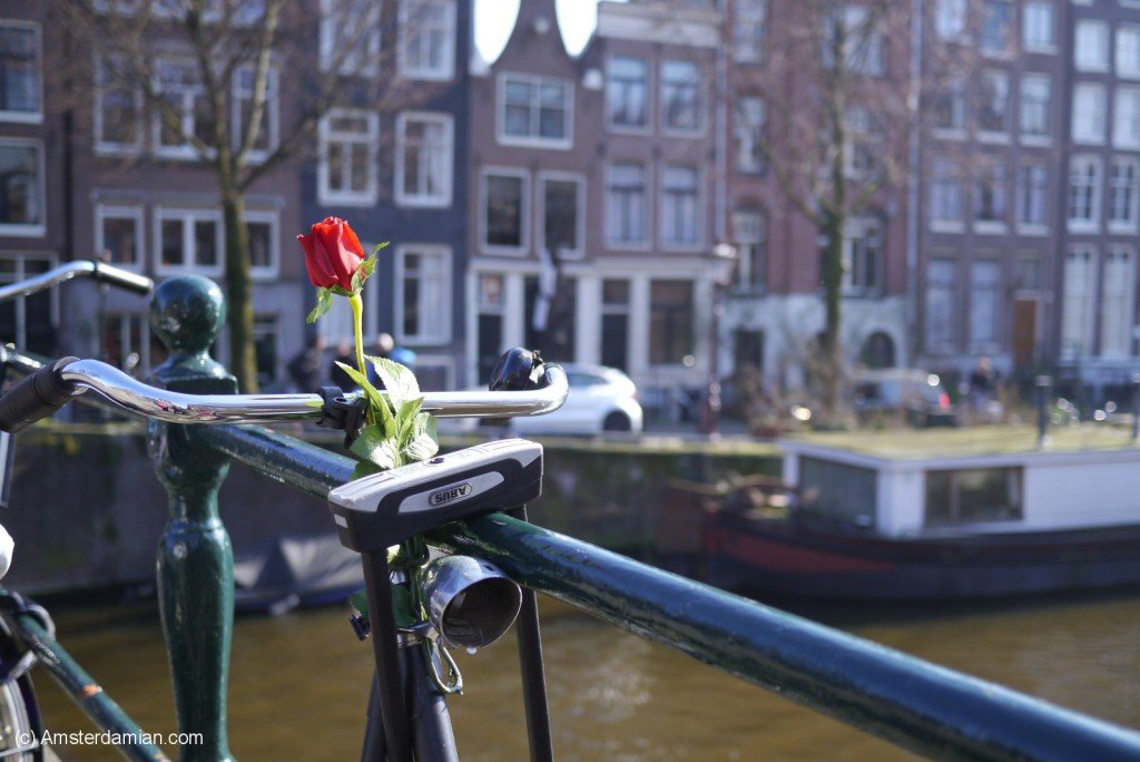 Rose on a bike