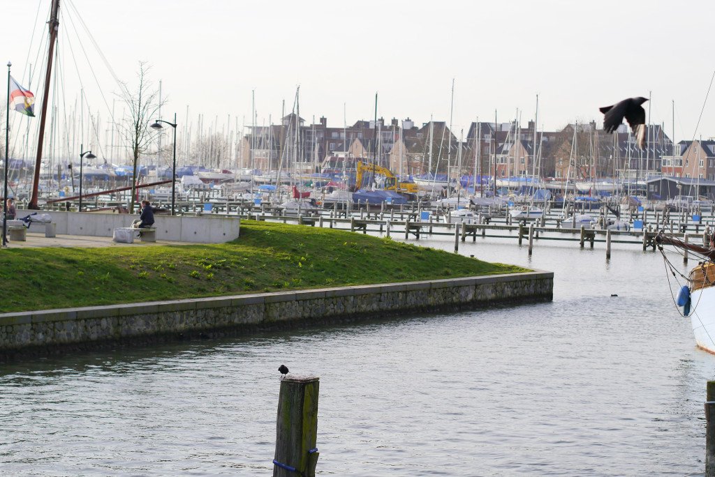 The harbour in Hoorn 03